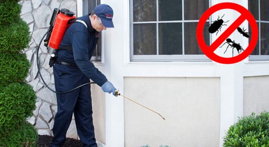 Atakent Tahtakurusu İlaçlama böcek ilaçlama ve haşere kontrolü — ilaclama-tr.com